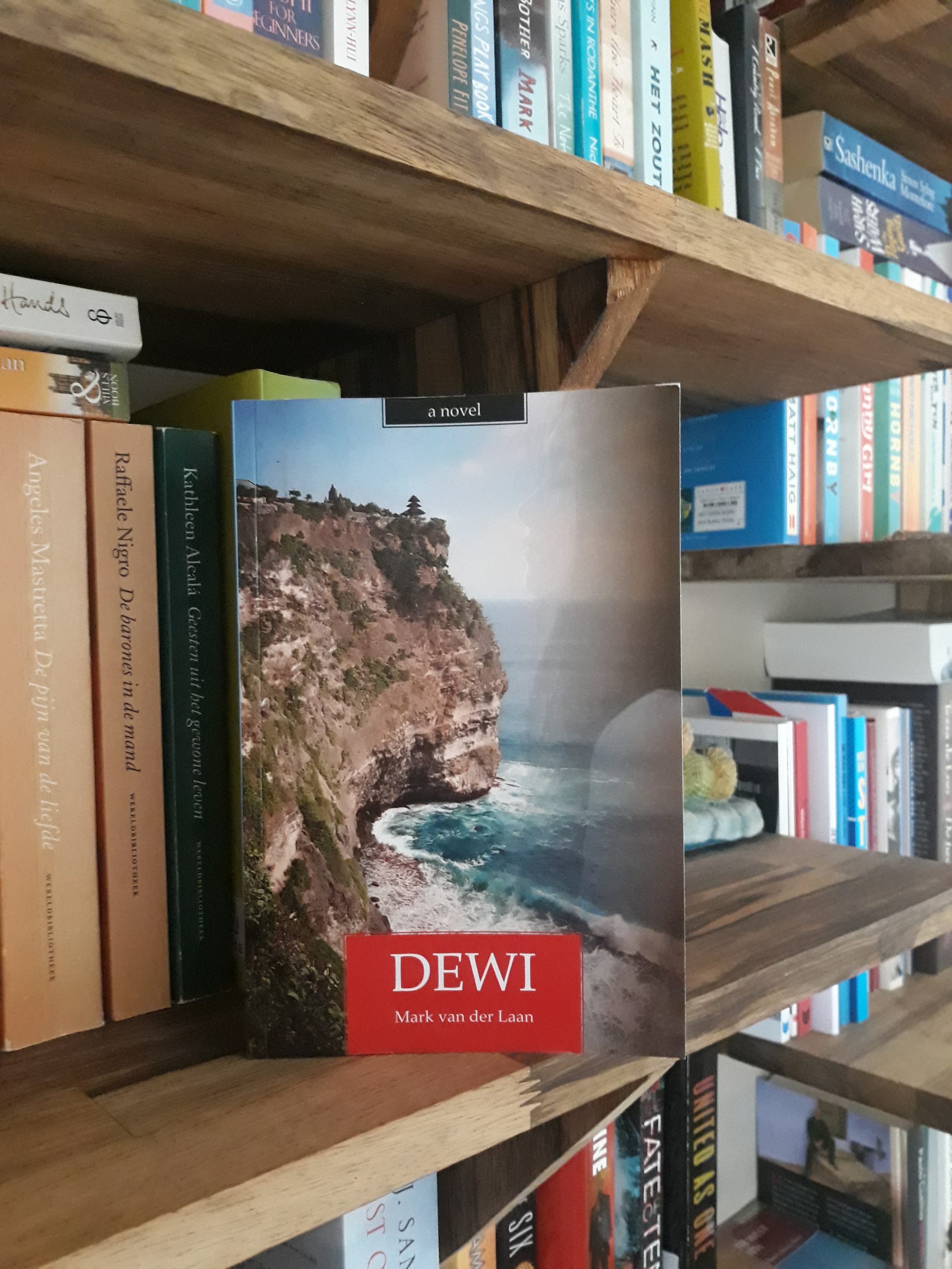 Boek uitgelicht: Dewi – Mark van der Laan
