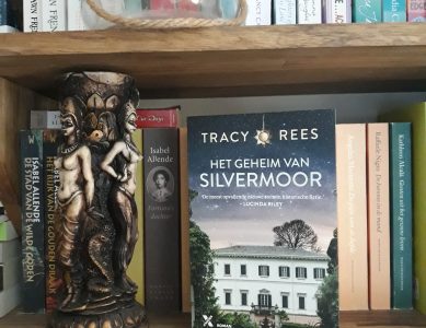 Boekrecensie: Het geheim van Silvermoor – Tracy Rees
